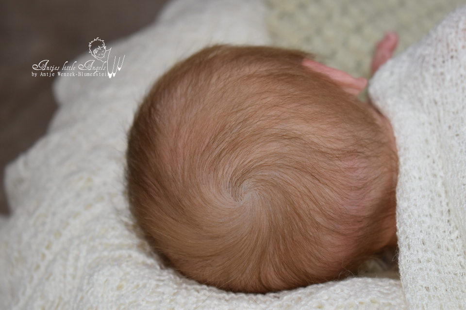 Realborn Joseph Newborn by Bountiful Baby
