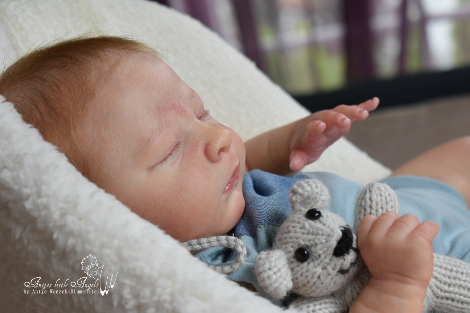 Realborn Joseph Newborn by Bountiful Baby