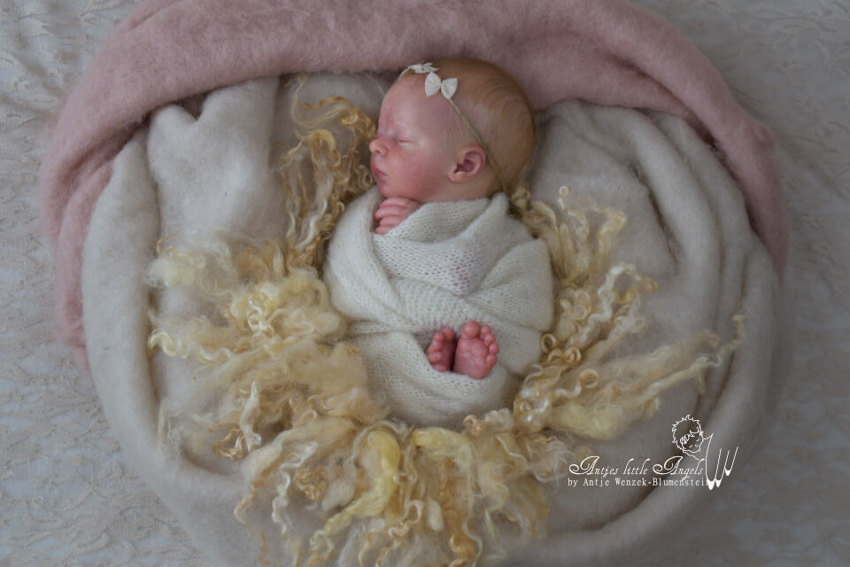 Aria by Bountiful Baby