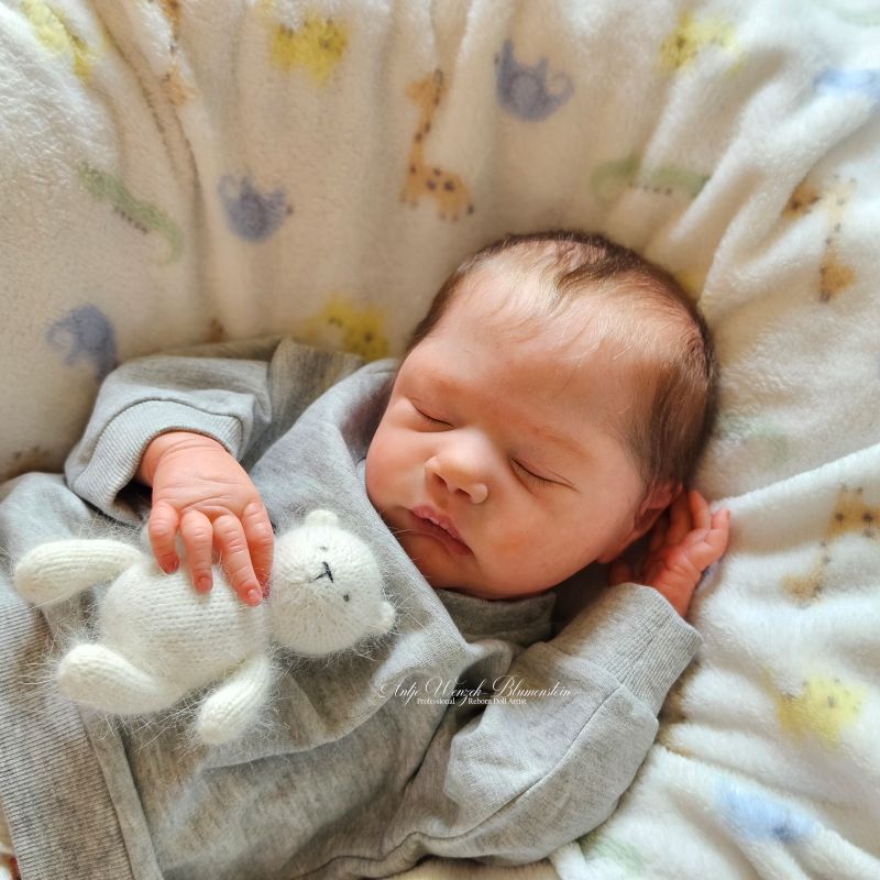 Reborn Baby Allessandro – liegend mit Teddybär Gesamtansicht, Cassie LoveBrace